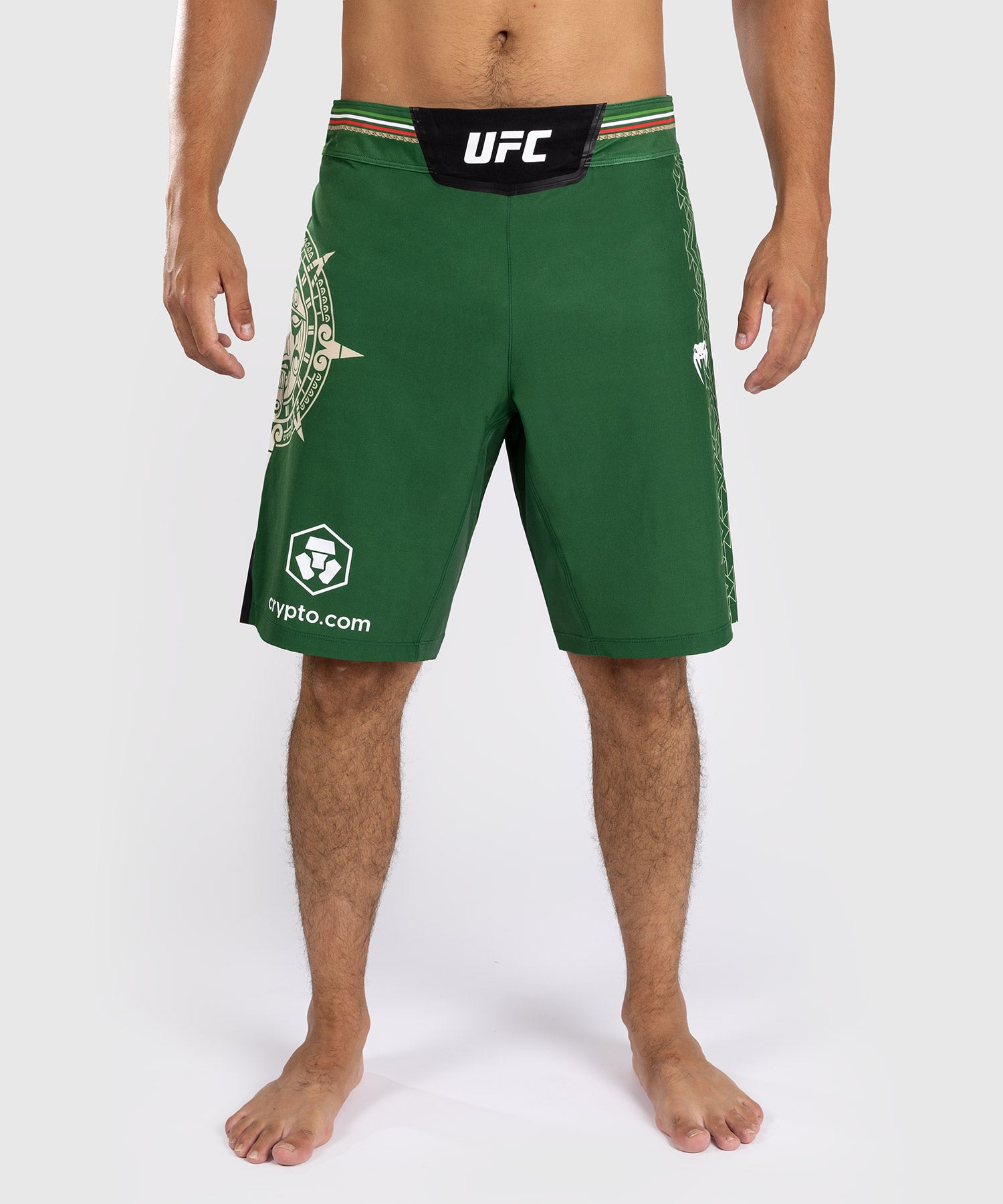 Noche UFC By Venum Authentic Fight Night Men’s Fight Short - Long Fit - Green